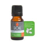Organic Sweet Basil Essential Oil