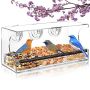 Tesstsy Window Bird Feeders With Strong Suction Cups Clear Window Bird Feeder For Outside Inside See Through Bird House For Kids And Elderly Viewing