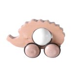 Hedgehog Push Toy