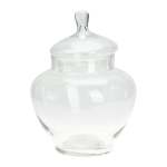 Storage Pot Glass With Lid 21XH28CM