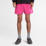 Sunapee Lake Solid Swim Shorts For Men - XXL Pink