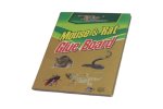 Mouse Glue Board 26CM X 19CM Medium
