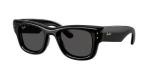 Ray Ban Wayfarer Puffer