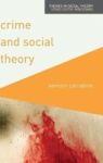 Crime And Social Theory Hardcover 1ST Ed. 2017