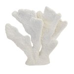 Decorative White Coral Sculpture - Large