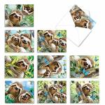 The Best Card Company - 10 Blank Animal Cards Boxed 4 X 5.12 Inch - Assorted Pets Zoo Wildlife Cards - Smiling Sloths AM6864OCB-