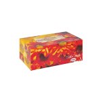 Facial Tissues 2 Ply 200'S