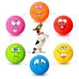 Holysteed Latex Dog Squeaky Toys Rubber Soft Small Dog Toys Chewing Squeaky Toy Fetch Play Balls Toy For Puppy Small Pets 6PCS
