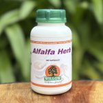 Alfalfa Herb 100 Capsules Willow