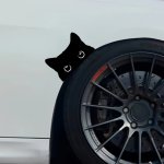 CAT Peeking Decal Vinyl Car Sticker Scratch-cover Adhesive For Rear Window bumper door Cute Vehicle Decor
