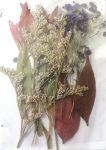 Mixed Dry Flower In Sealed Packet 01