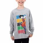 Dragon Ball Z Anime Cartoon Boys Grey Long Sleeve Shirt-m