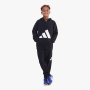 Adidas Boys Bl Ft Hoodie Black - 15-16