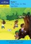 New All-in-one: The Tree In The Garden: Level 3: Reader 1: Grade R   Paperback