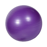 Purple Physio Ball 55CM