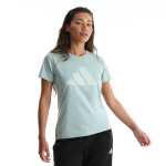 Adidas Training Essential Logo Tee