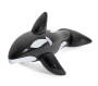 Float Jumbo Whale