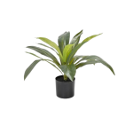 Office And Home Pot Plant - 50CM