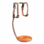 CAT Rogz Z 8MM Night Reflective Lead And H-harness Combination Orange Birds On Wire Design Waggs Pet Shop