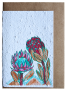 Growing Paper Greeting Card Protea