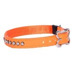 Rogz Pet Products Rogz Lapz 16MM Medium Luna Pin Buckle Dog Collar - Orange