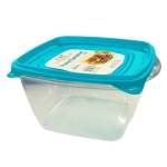 Square Container 1.3LT – Click On Item For Colour Options