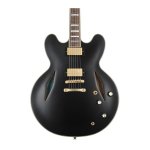 Epiphone Emily Wolfe Sheraton Stealth Semi-hollow Electric Guitar