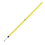Slalom Pole With Spike