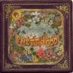 Pretty. Odd Vinyl Record