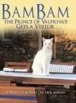 Bambam The Prince Of Valprivas Gets A Visitor - A Mostly True Story Hardcover