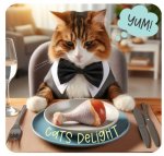 Cats Delight Gourmet Chicken 500G