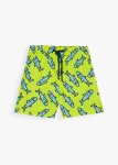 Shark Print Board Shorts