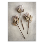 Everlasting 4 Art Print - 100CM X 150CM No Frame Print Only