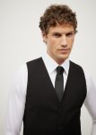 Arlo Tailored Vest
