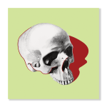 Pop Skull 4 Art Print - A0