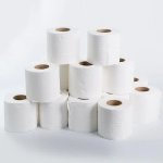 Mixed Grade Toilet Paper 48 300 Sheets 3.4 Kg – RSP300