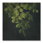Dark Foliage Square 1 Art Print - 100 X 100CM No Frame Print Only