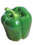 Capsicum California Wonder - Green Bell Pepper Seed - 2 G Raw Seed