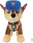 Paw Patrol Basic Plush Supplied May Vary