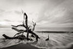 Slow Sunrise Art Print - Matte Fine Art Print No Frame A4