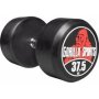 Fixed Dumbbell 37.5KG