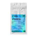 - Ethiopia Gesha Village E-26 Anaerobic Natural - 250G