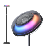 Rgbww +rgbic +ww Floor Lamp