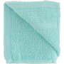 Clicks Guest Towel Sea Green