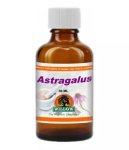 Willow - Astragalus Organic 50ML