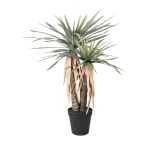 Aloe Faux Plant In Succulent
