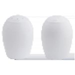 Arctic White Salt And Pepper Set