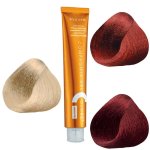 Cdc Professional Hair Colour Ammonia Free Special Shades 100ML