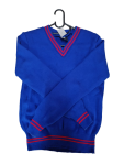 Prof Royal And Red Striped Jersey - Unisex