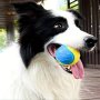 Durable Rubber Dog Chew Ball - Bite-resistant Teething Toy For Medium Breeds Ideal For Training & Play